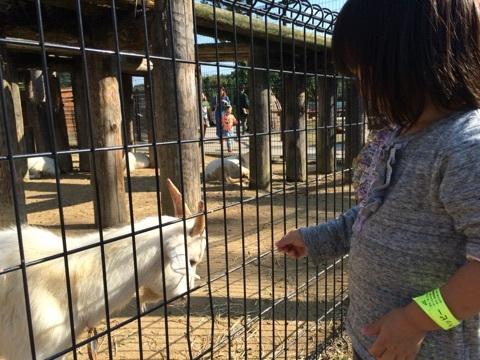 動物園