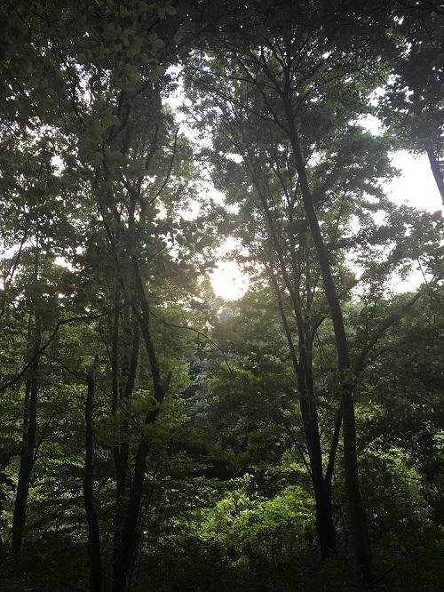 6月に梅雨明け⁉ & 恒例の夏のイベント始動!