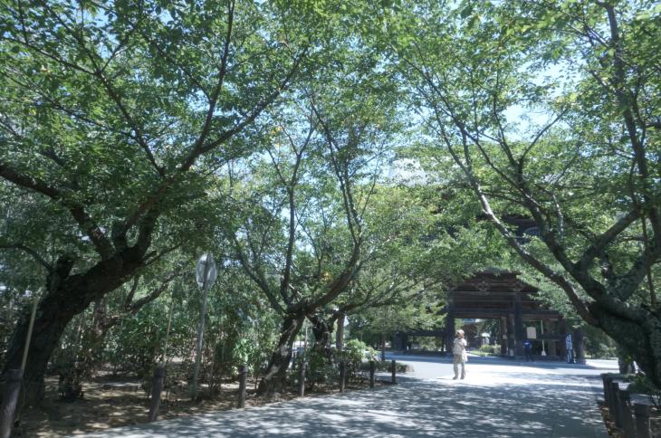［久々の登山］