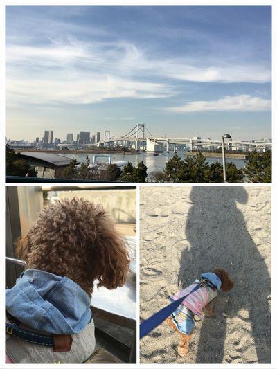 24時間受付 Web予約出来るようになりました!!