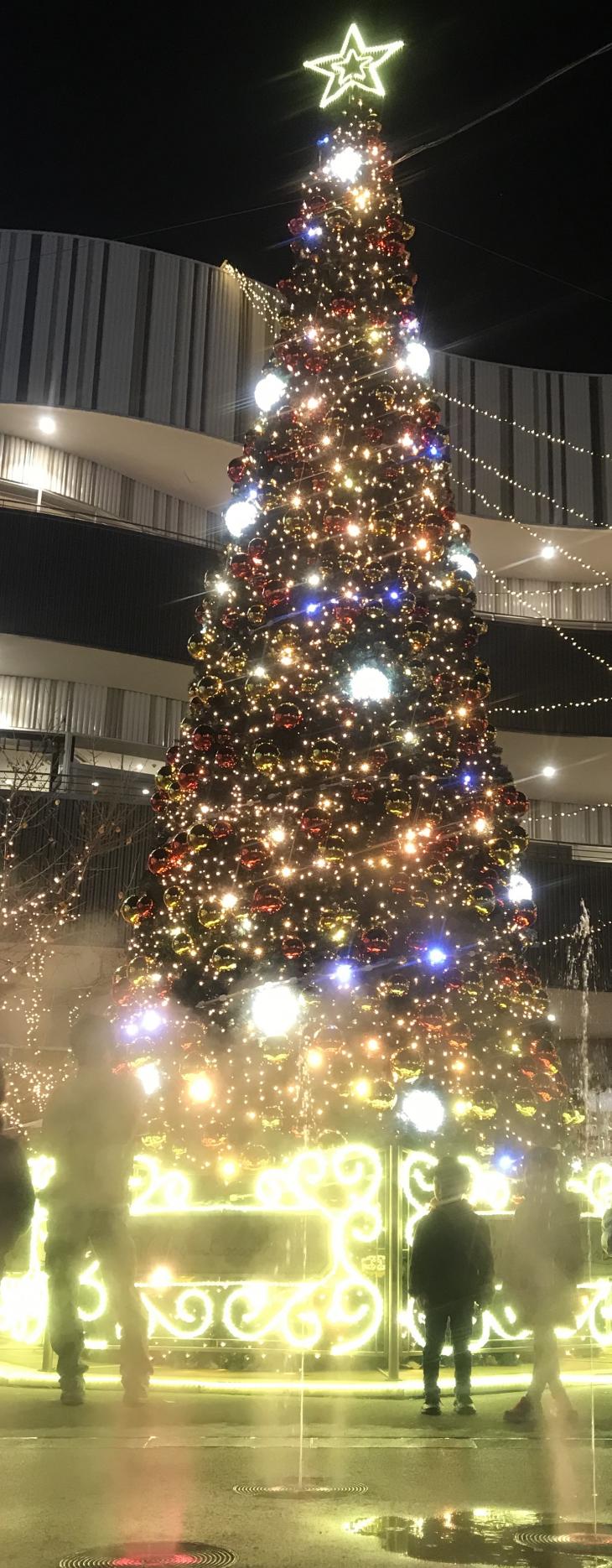 クリスマス